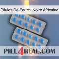 African Black Ant Pills 23